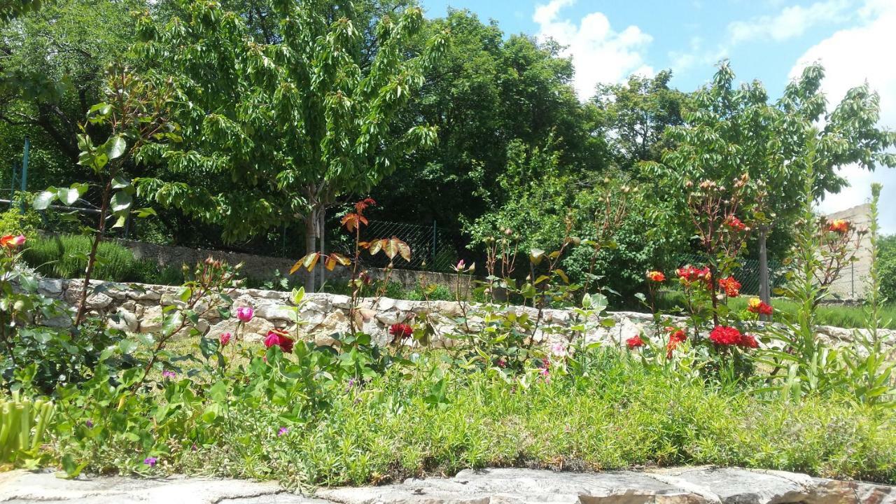 Villa Cetina Milasi Buitenkant foto