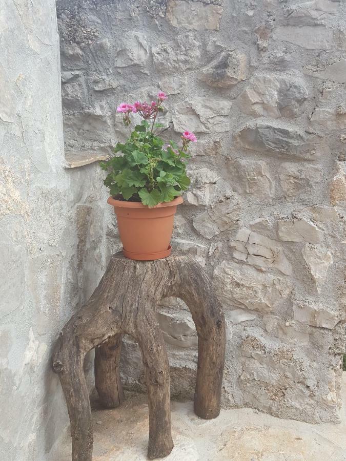 Villa Cetina Milasi Buitenkant foto